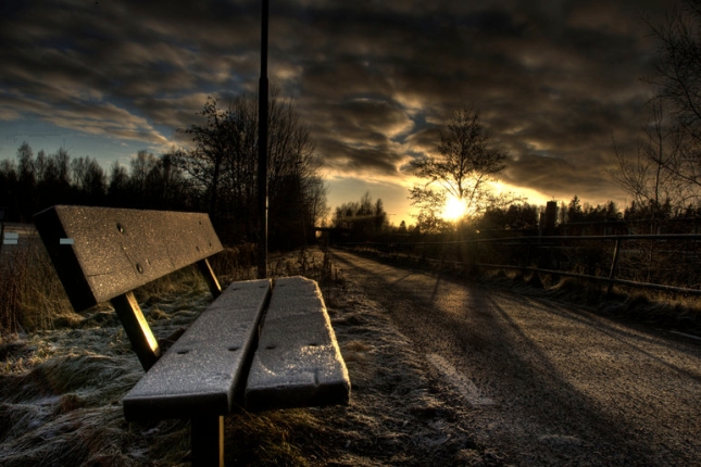benches-sunset